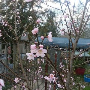 Meet your Posher, Wanda